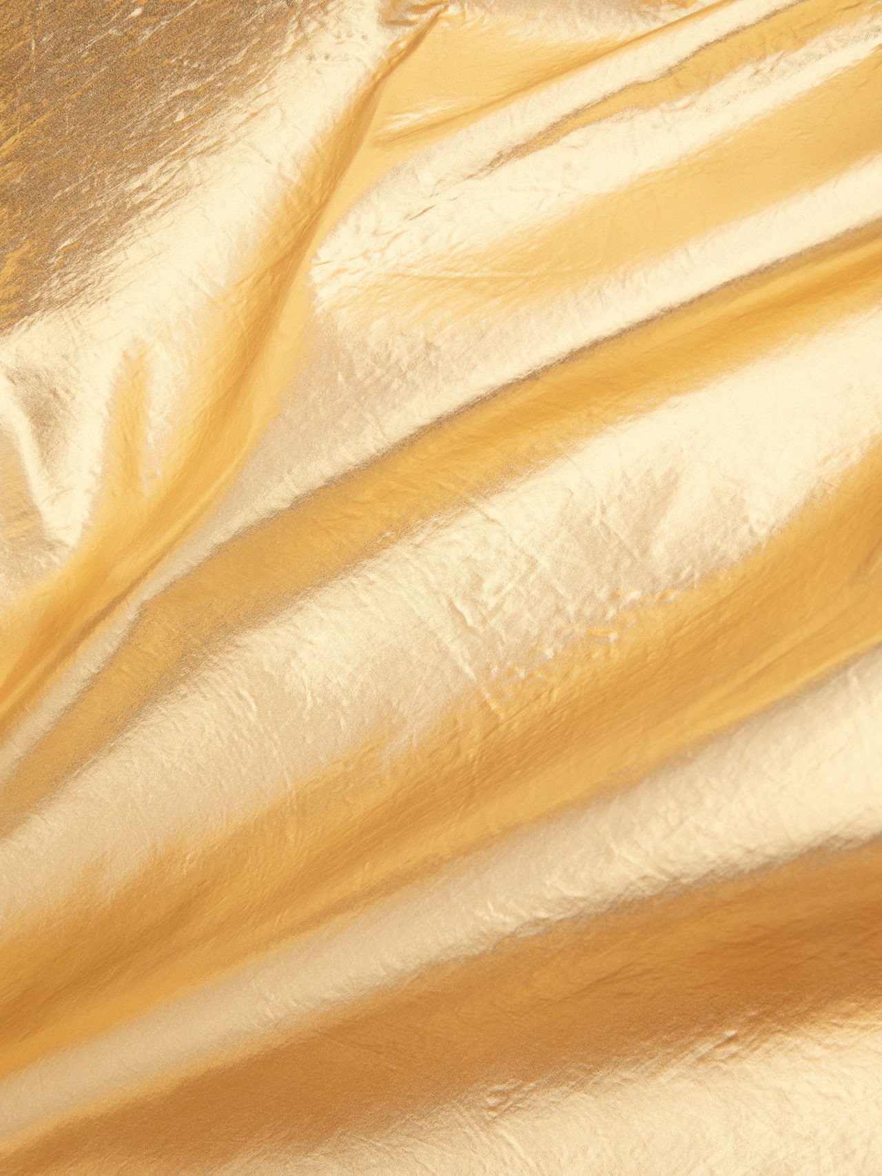 Jacket-Nicolette-gold-detail